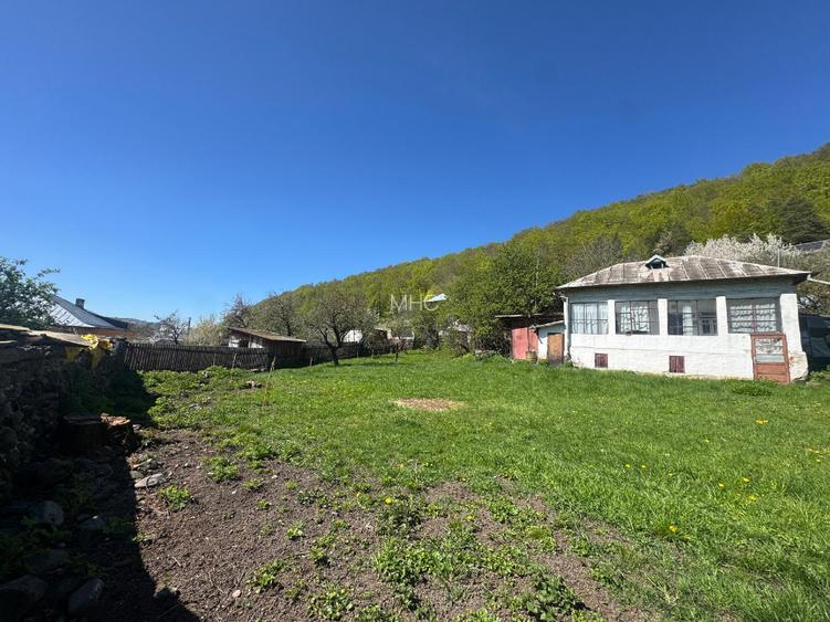 Teren 1.002 mp lângă Manastirea Namaesti - 7