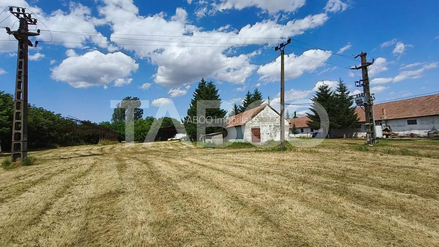 Platforma industriala cu cladiri de vanzare in Salistea de Alba - 9