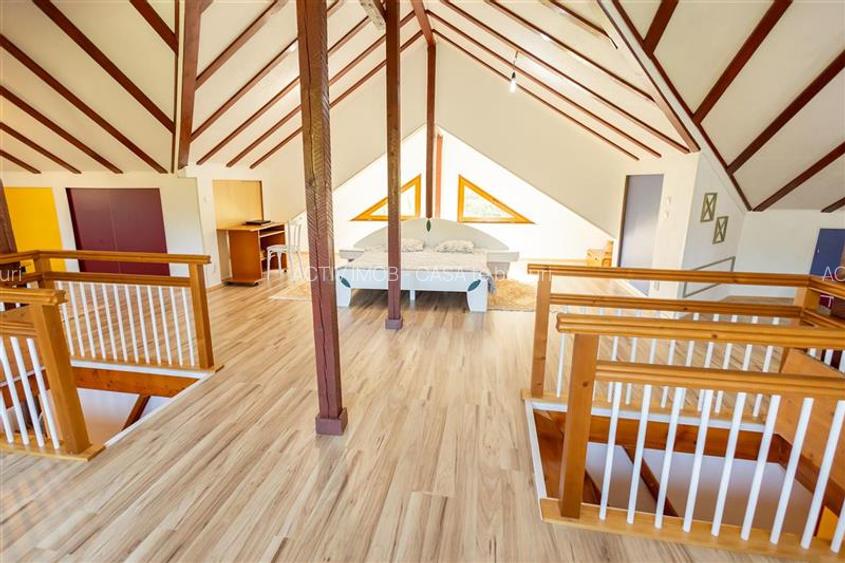 Vila 7 camere - Babana - Arges - teren 4391 mp - fara comision la cumparator - 18