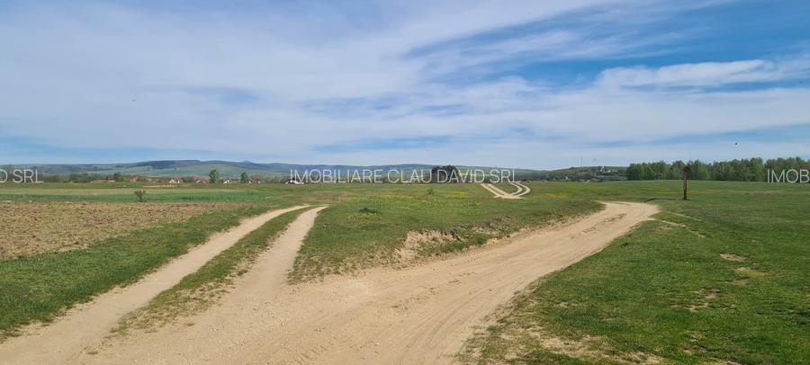 TEREN AGRICOL EXTRAVILAN - RECI - COVASNA - 7