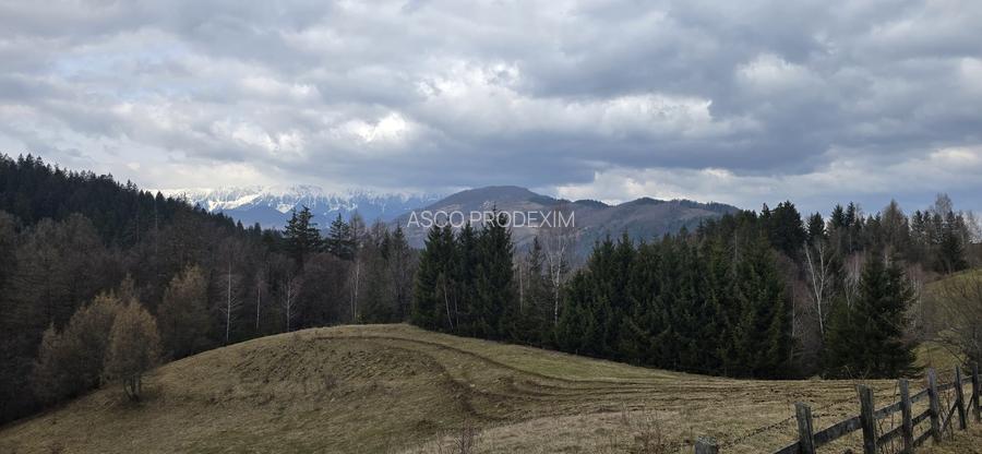 Teren intravilan construibil Brasov Bran  Poarta utilitati vedere spre munti - 4