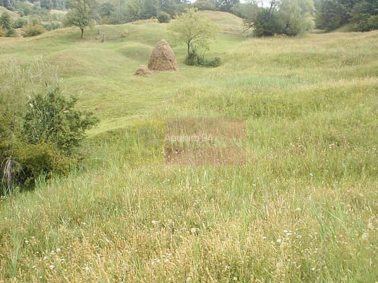 Teren extravilan de vanzare in Telega - 2