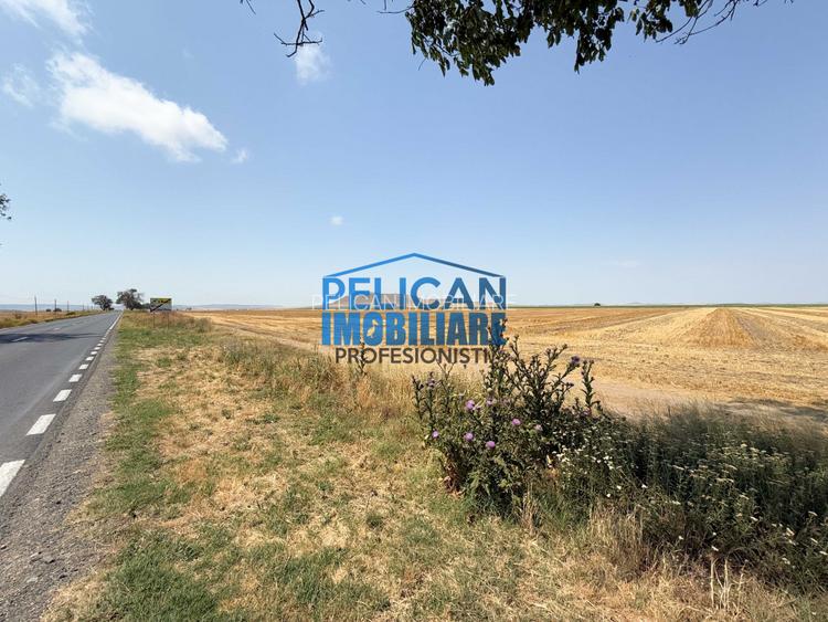 Teren intravilan M. Kogalniceanu, 4000MP, la drumul national - 4