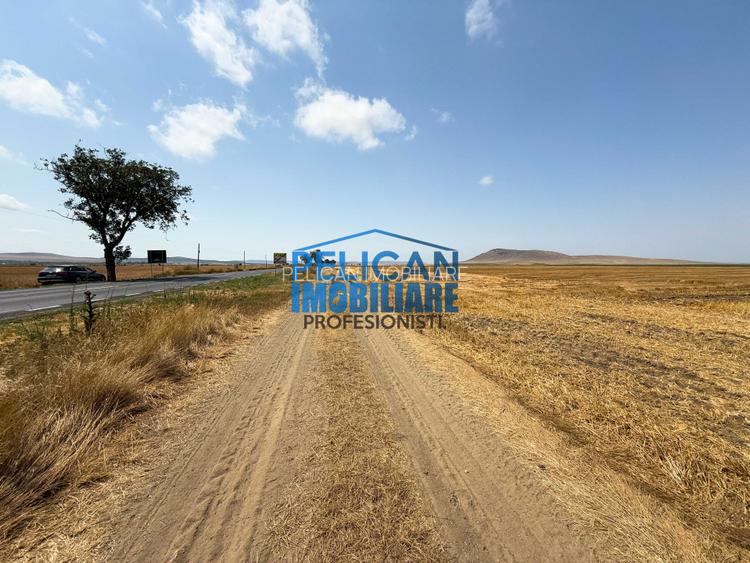 Teren intravilan M. Kogalniceanu, 4000MP, la drumul national - 5