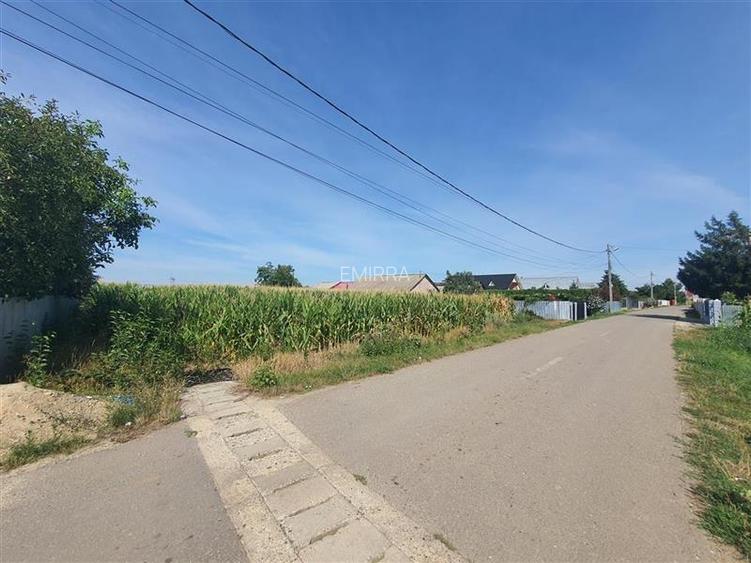 Teren 4900 mp de vanzare in sat Holt, Letea Veche, Bacau - 6