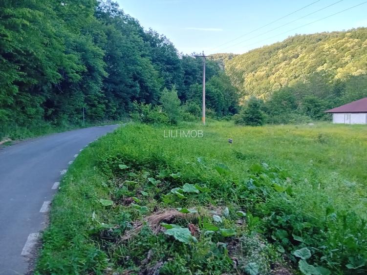 De vanzare casa pentru vacanta - 2