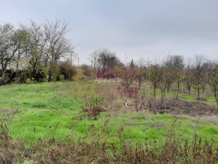 BARCANESTI -  casa +curte+teren 16k mp - 13