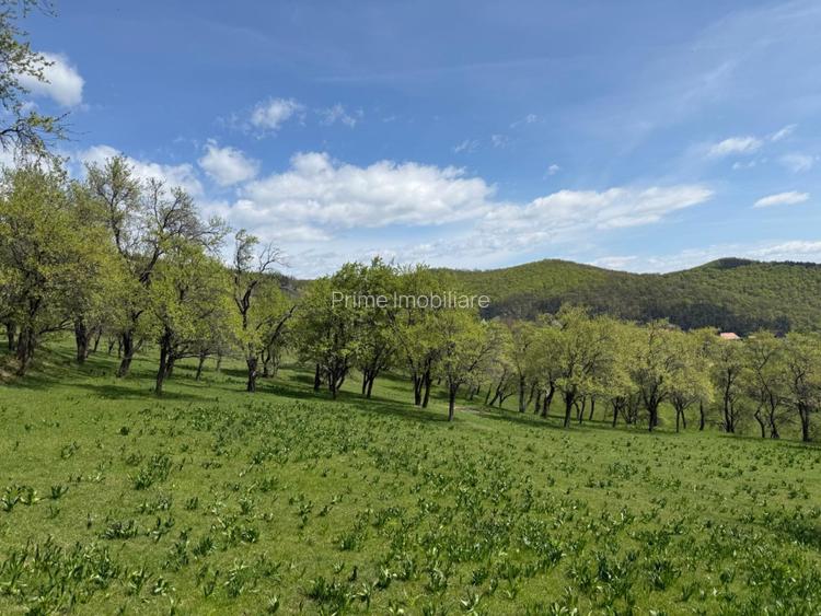 TEREN INTRAVILAN 8330 MP, INURI, VINTU DE JOS - 6
