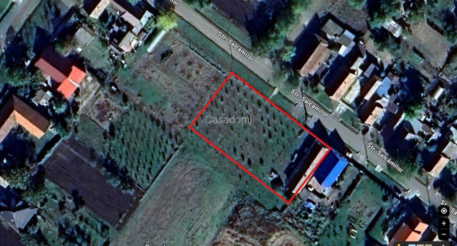 Teren cu livada si Casa veche in Șandra - 4