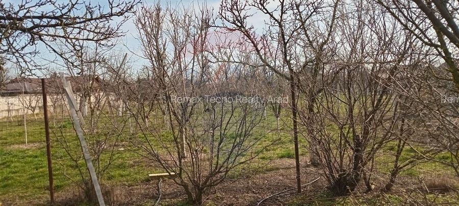 Teren Vladimirescu-  Zona Excelenta  2954 MP INTRAVILAN!!! - 9