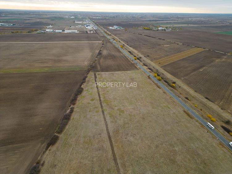 Teren 22.500 mp–Pecica, jud. Arad,Posibilitate PUZ - 12