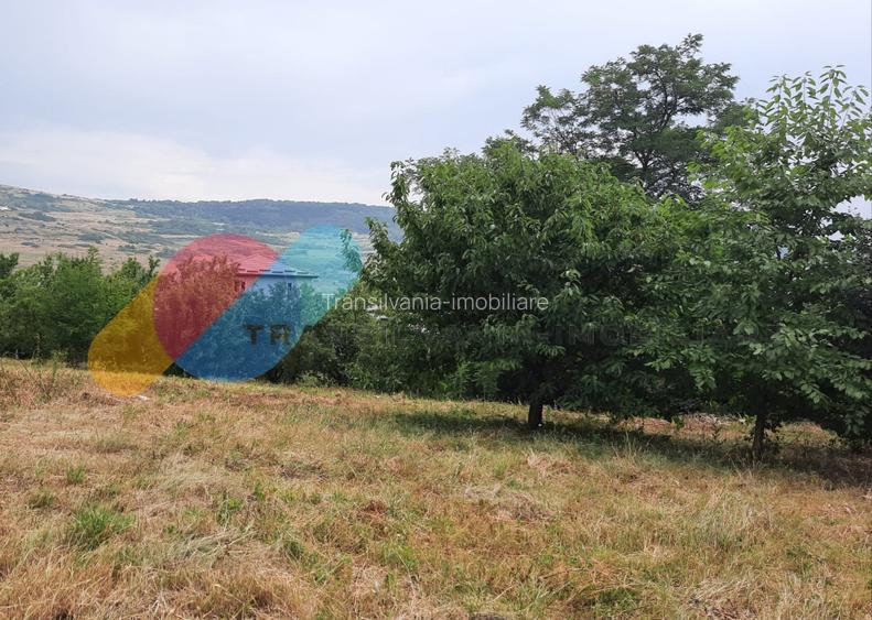 Teren intravilan, 2000 mp, Valea Chintaului - 2