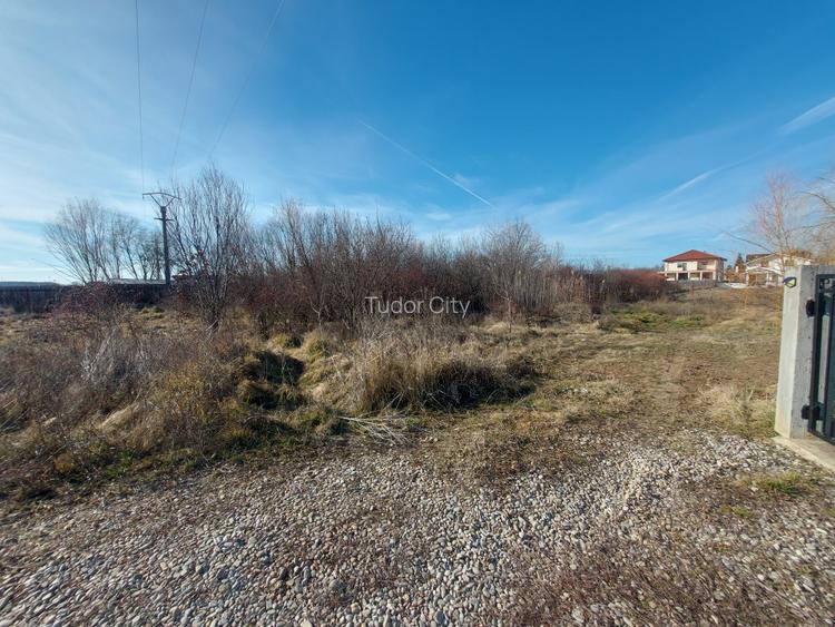 Loc de casa cu utilitati, 944mp cu 29m deschidere, Ciofliceni - Snagov! - 10