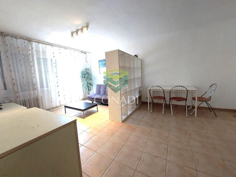 Sala Palatului, apartament cu 2 camere de inchiriat,  45 mp utili - 4