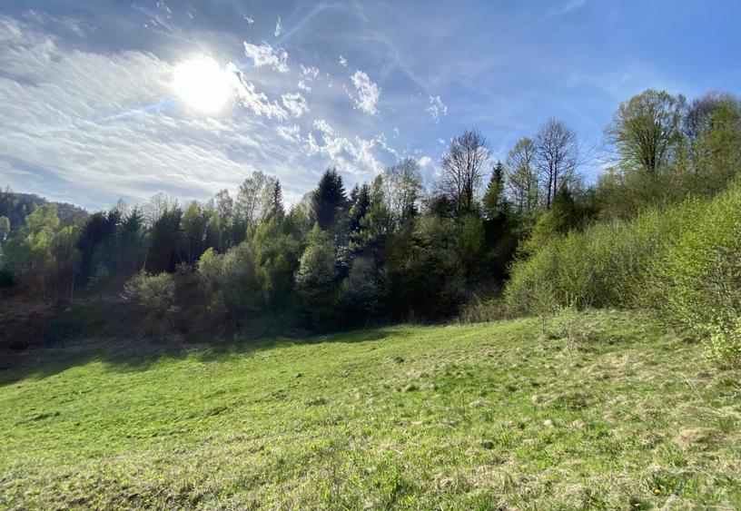 Teren panoramic însorit, utilități, panta mica si pădure, turism sau vacanță