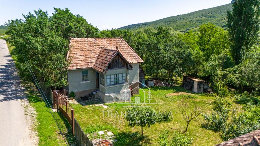 Casă la țară de vânzare în Livada, comuna Petreștii de Jos