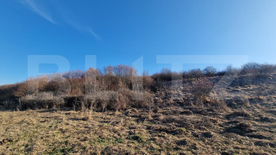 Teren extravilan, 5600mp, ideal investitie de viitor, zona Vidului, Floresti