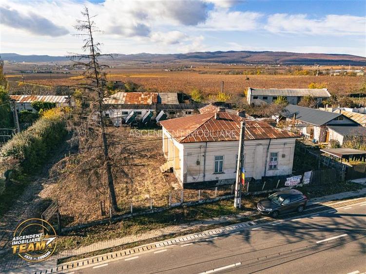 FILM! Casa boieresca autentica,domeniu de 4.000 mp intravilan,in podgoriile Odob - 14