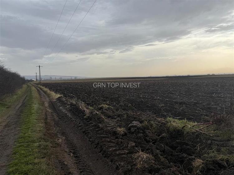 Teren extravilan in EXCLUSIVITATE 20300 mp in Sura Mica - 4