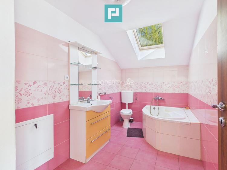 Casă individuală spre închiriat – Moșnița Nouă - 19