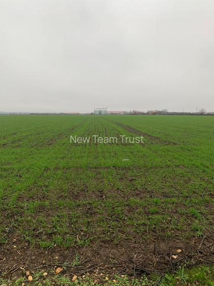 Stefanesti Teren Industrial -  Teren Mixt  Scompacta Dascalu - Gaesti - 6