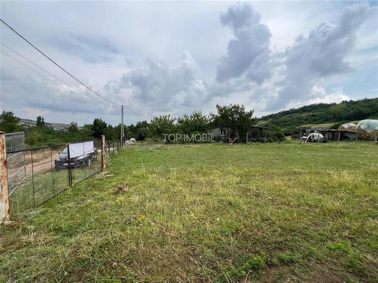 Teren Tomesti 3750MP - 4