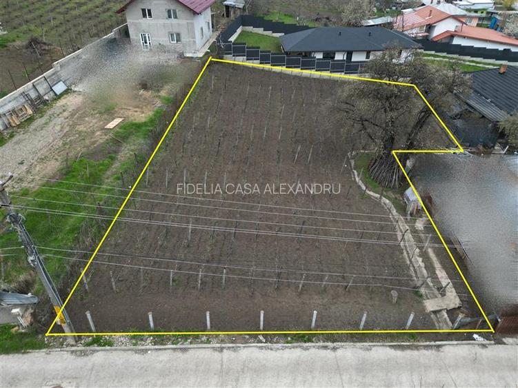 Teren intravilan 842 mp , asfalt , toate utilitatile - Valea Lupului , Iasi - 4