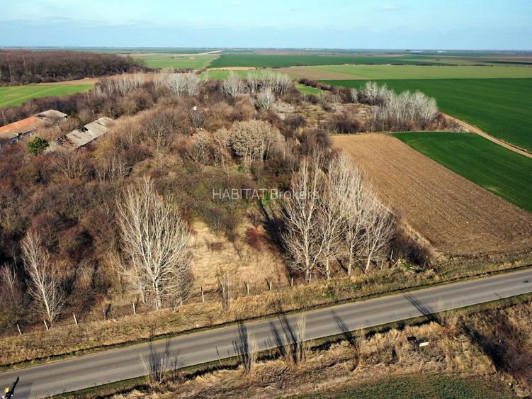 Ferma si livada de meri in judetul Ilfov - 22