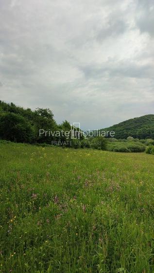 Teren de vanzare, 20.000Mp , Comuna Danes, drumul Crisului - 13