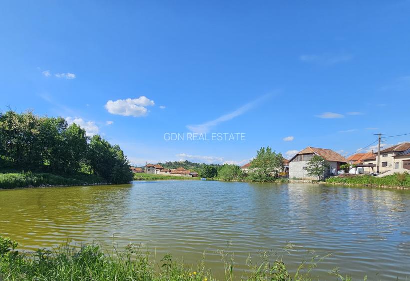 Casa la tara cu 3 camere + teren intravilan Sup 962 mp, Colesti, Bihor - 4