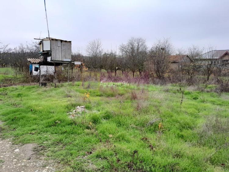 BARCANESTI -  casa +curte+teren 16k mp - 46