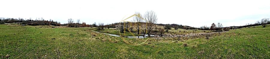 Terenuri extravilane de vânzare – Vizma & Crivobara, comuna Secaș, jud. Timiș - 11