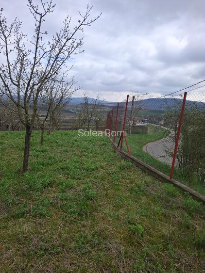 Teren Intravilan 1768 mp – Ocna Mureș - 4