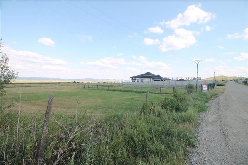 Teren 3000 mp intravilan - Sarata - 6