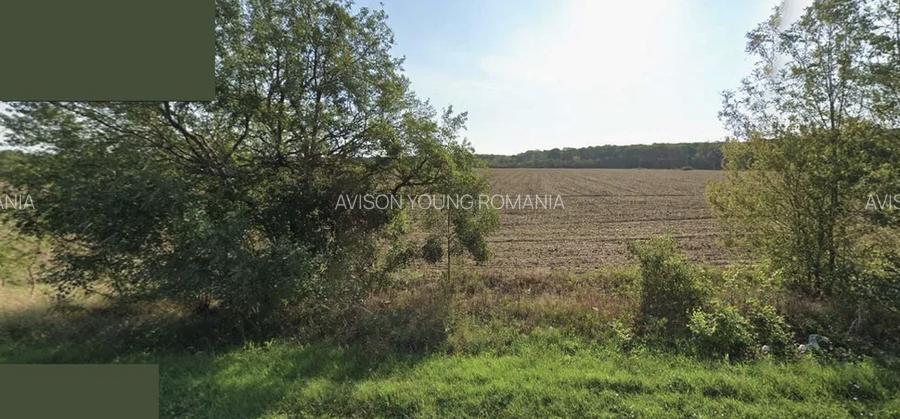 Teren intravilan 7500mp fs 38m DN1 - 2