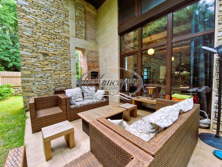 Casa deosebita in Faget - 14