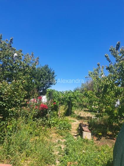 Vand 2 case cu teren - 2