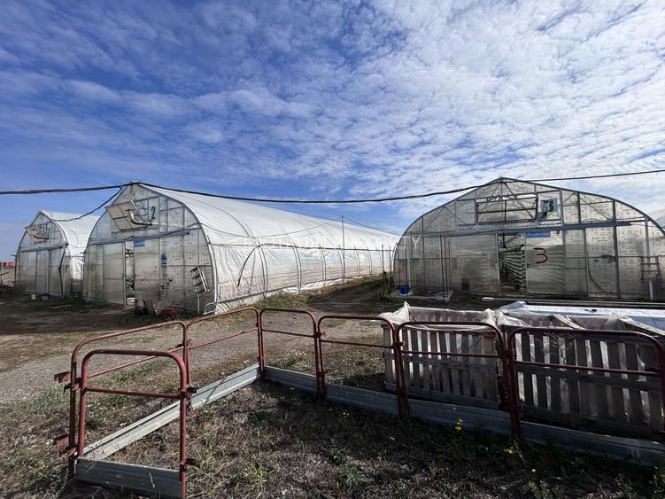 De vanzare-afacere la cheie - 7