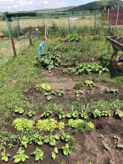 CHIRIE 2 CAMERE la  C+ CURTE 1500 MP,/FAMILIE ZONA REZIDENIAL A - 5