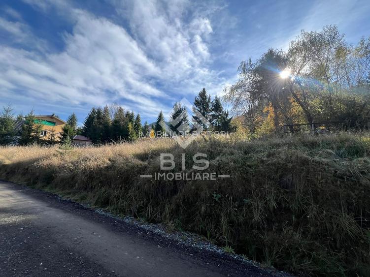 Teren de vanzare 12 ari - COLIBITA - 2