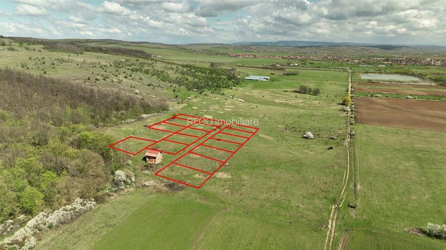 RECO, teren intravilan, Ineu,Bihor - 3