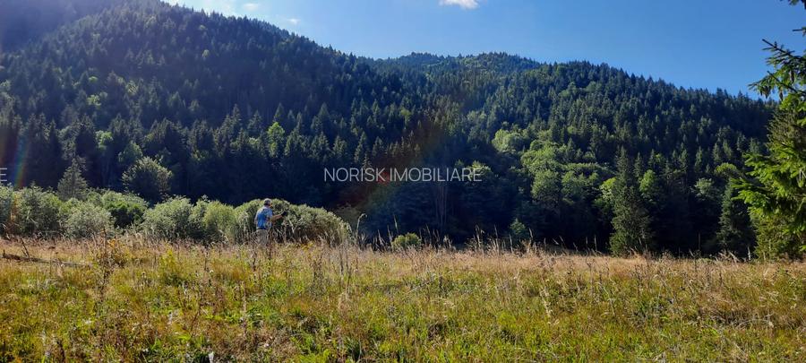 Teren Intravilan | Schitu Tarcău | 2089MP | Izvor | Platou - 10