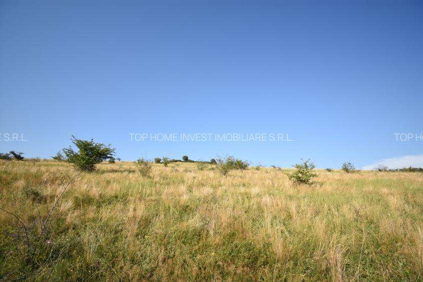 Oportunitate de investitie! Teren extravilan Chinteni! - 3