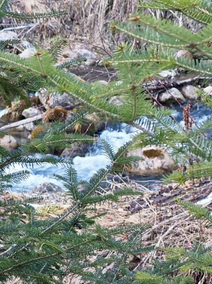 Casa de vacanta de vanzare in Rasnov - Brasov - 16