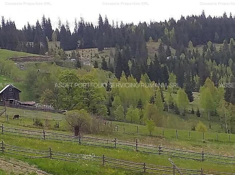 Teren 14.485 m.p. - Iacobeni, Suceava - 2