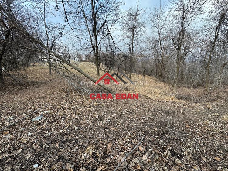 Teren intravilan in Cornu--3074m--90.000e - 8