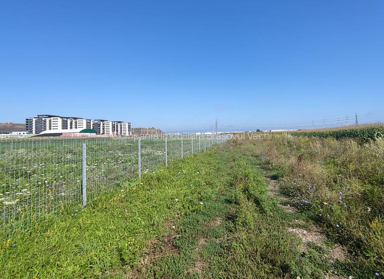 Teren intravilan cu potențial excelent în Triaj, Narciselor, pentru dezvoltatori - 3