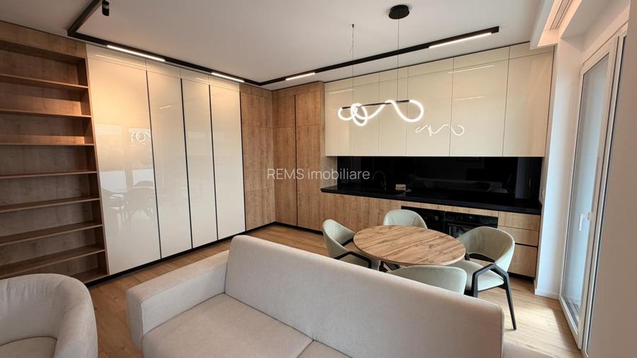 Penthouse la prima inchiriere str C Brancusi - 2