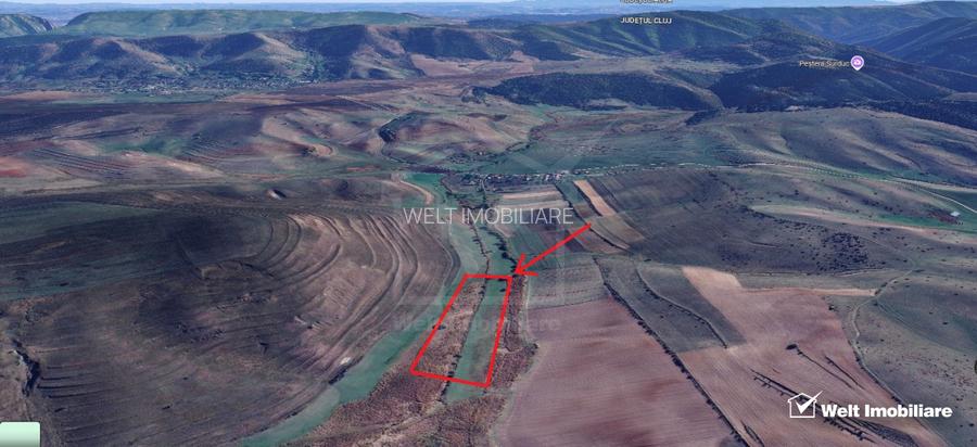 21.500 mp de teren cu privelisti superbe in Valea Agrisului (comuna Iara) - 4