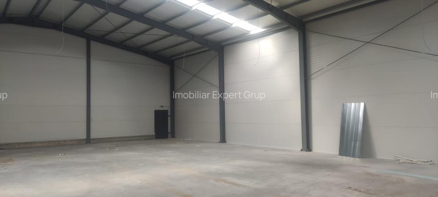 2 hale noi 2025 Afumati- Moara Domneasca - 7